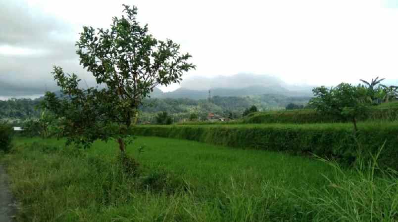 tanah view gunung dekat karmel bedugul bali