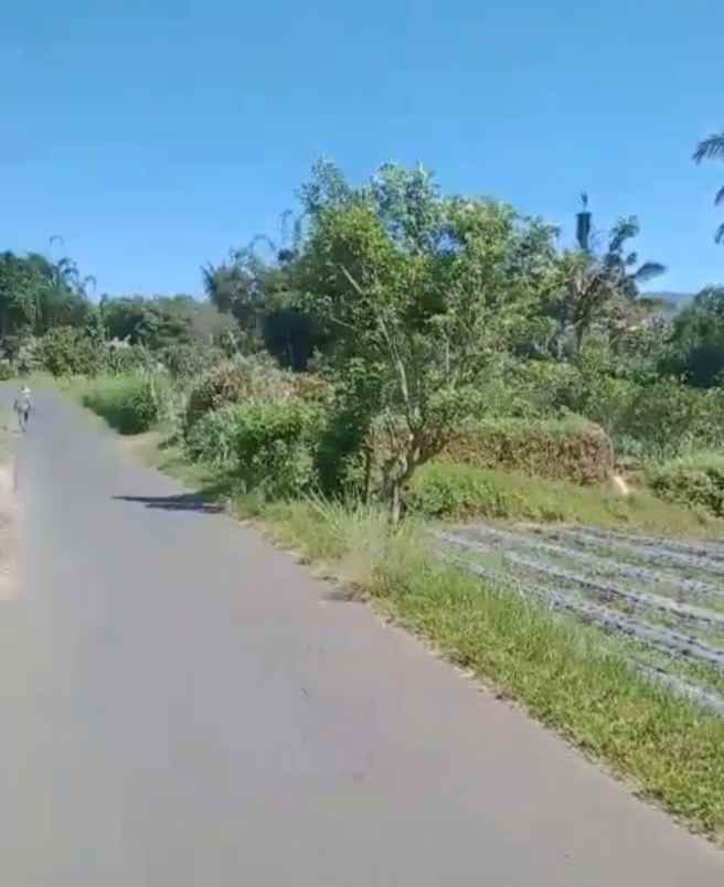 tanah view gunung dekat karmel bedugul bali