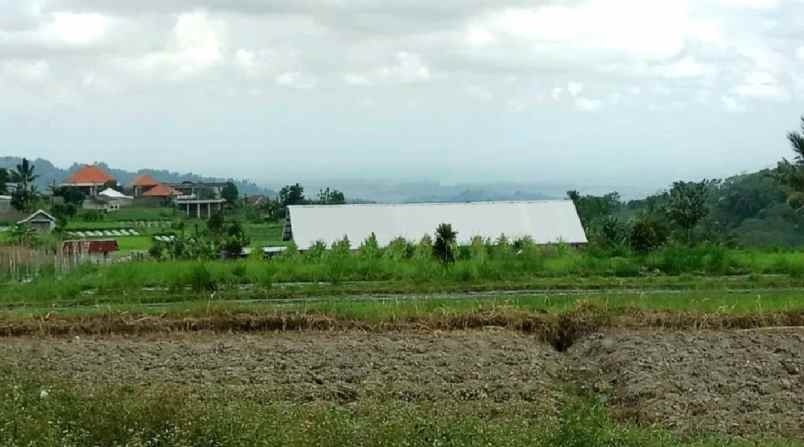 tanah view gunung dekat karmel bedugul bali