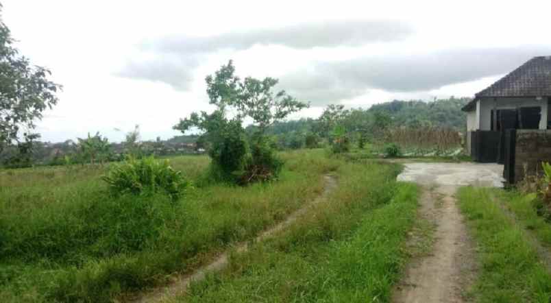 tanah view gunung dekat karmel bedugul bali