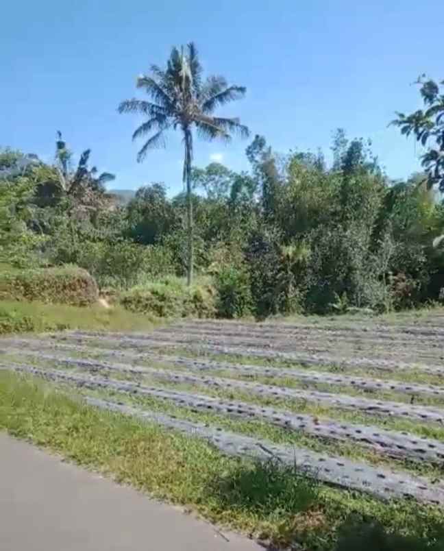 tanah view gunung dekat karmel bedugul bali