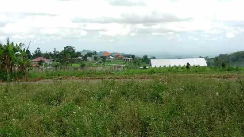 tanah view gunung dekat karmel bedugul bali