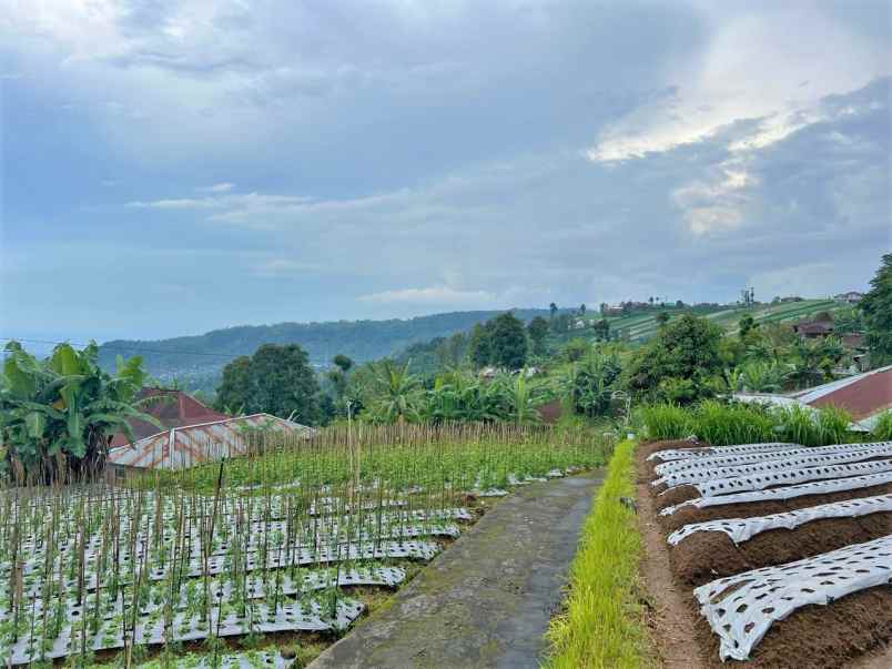 tanah view istimewa 200m kemuning karanganyar