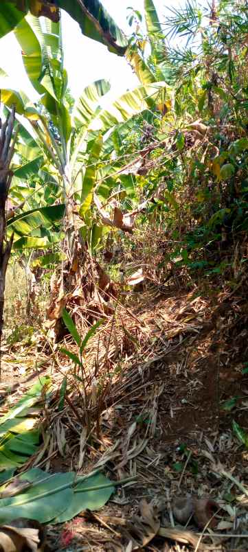 bu tanah murah kavling bri samping smk madani depok