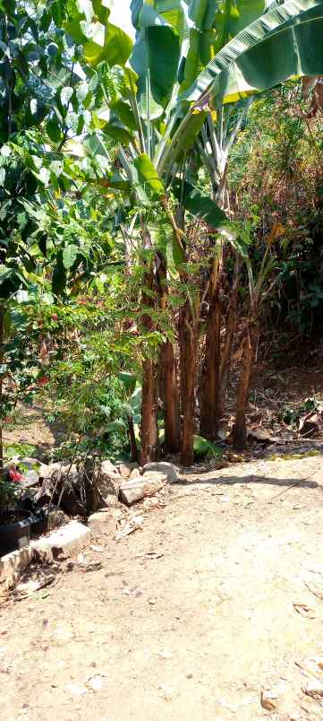 bu tanah murah kavling bri samping smk madani depok