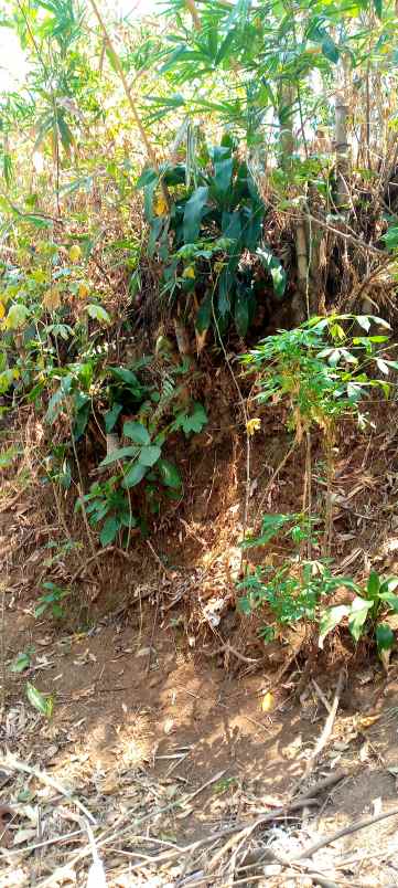 bu tanah murah kavling bri samping smk madani depok