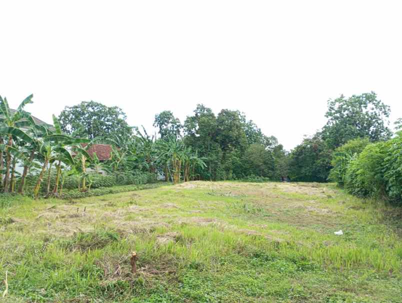 dalam ringroad jogja dekat plaza ambarukmo