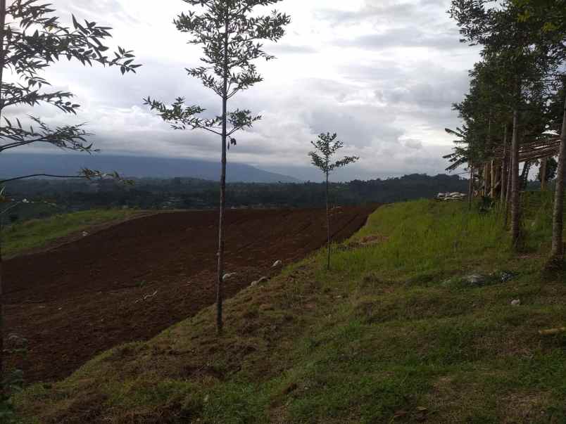 dijhal tanah kebjn di nagrak cibadak sukabumj