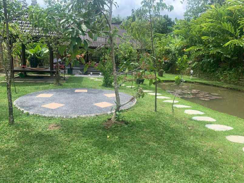 dijjal villa cantik siap huni lokasi tabanan balj