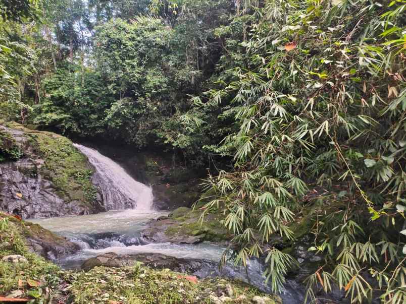 dijual lahan dengan view 3 air terjun sekaligus