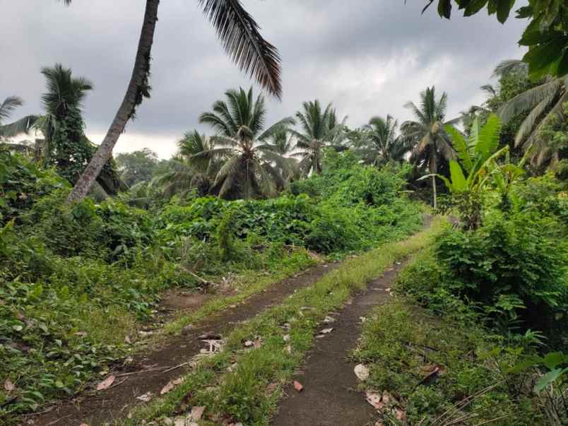 dijual lahan dengan view 3 air terjun sekaligus