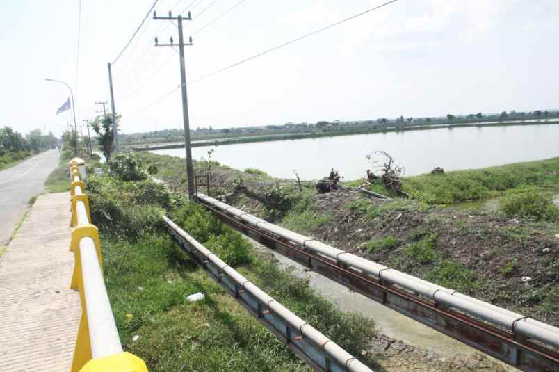 dijual lahan industri di gresik jawa timur