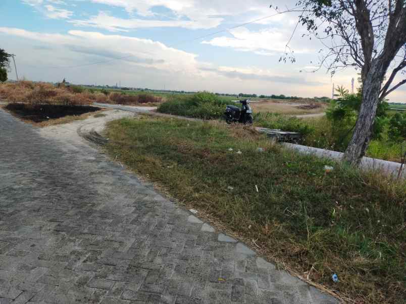 dijual lahan lokasi dahan rejo kebomas gresik petok d