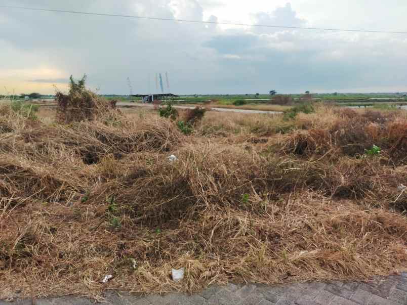 dijual lahan lokasi dahan rejo kebomas gresik petok d