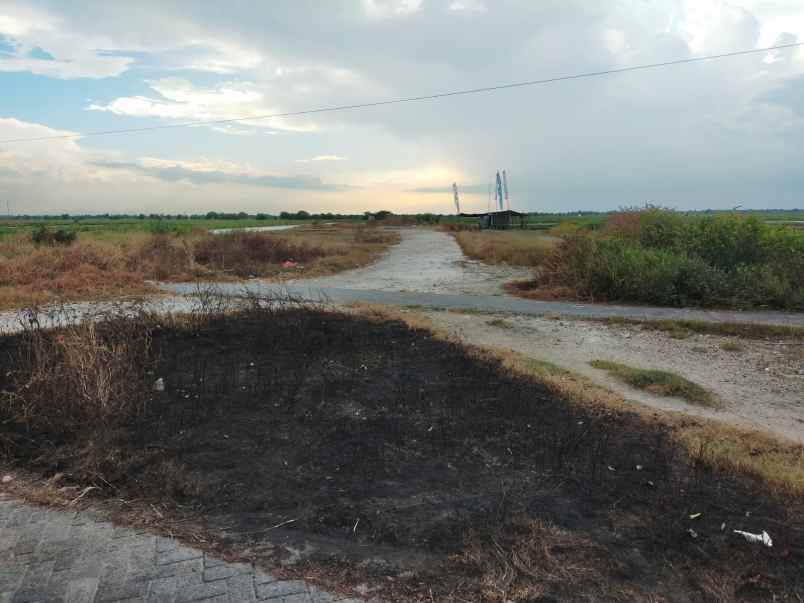 dijual lahan lokasi dahan rejo kebomas gresik petok d