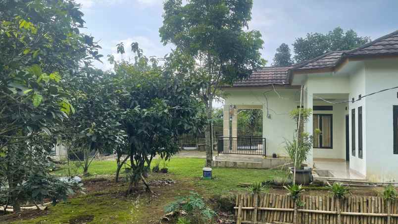 dijual rumah bojong