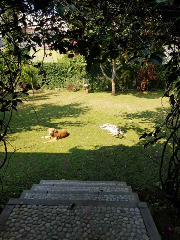 dijual rumah bukit cemara tujuh