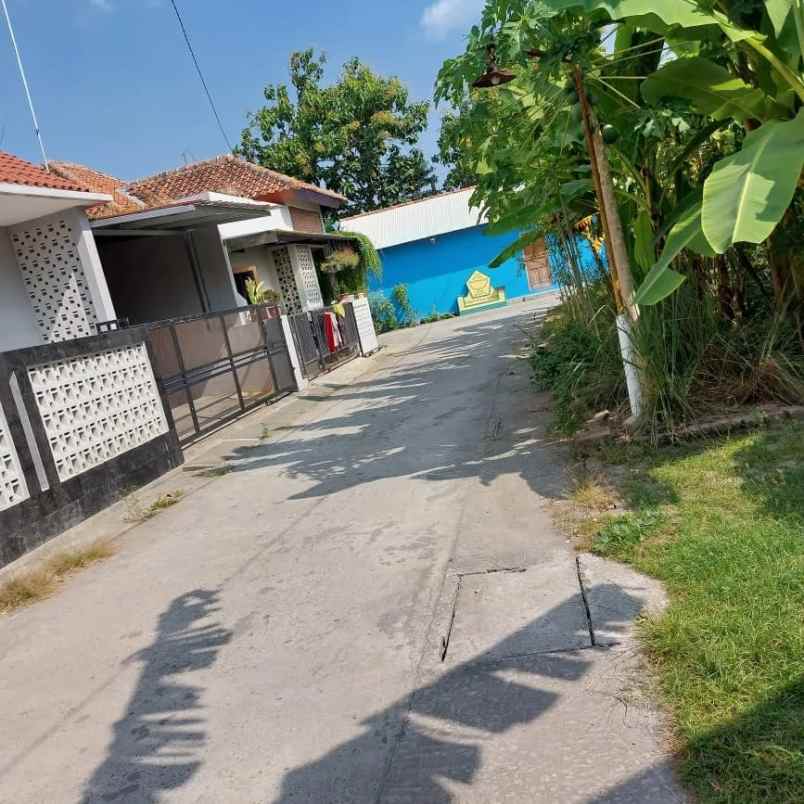 dijual rumah dekat smp jetis