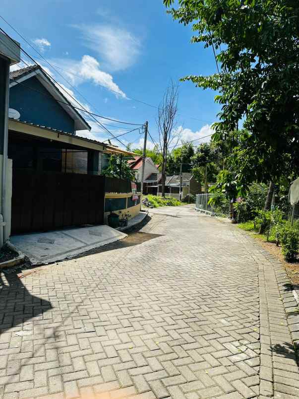 dijual rumah dieng