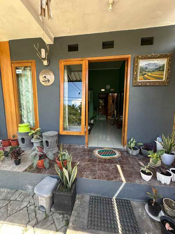 dijual rumah dieng