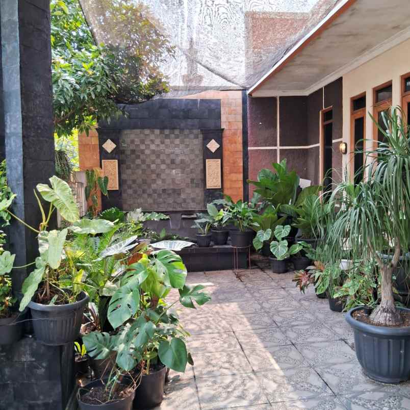 dijual rumah dijual rumah dianggrek