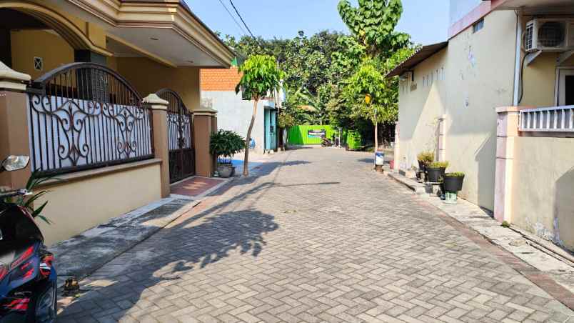 dijual rumah jambangan