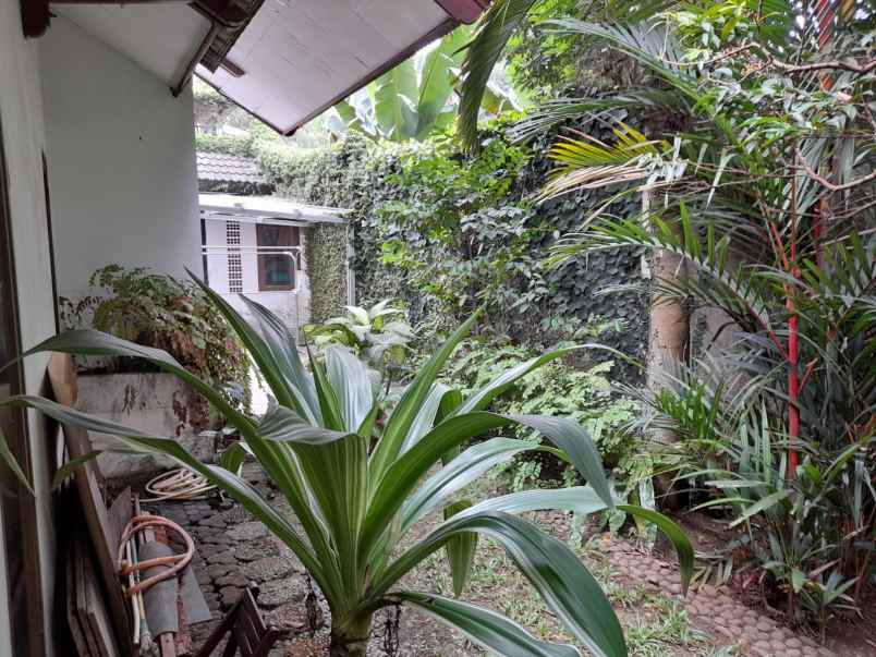 dijual rumah jl damai kavling dpr ciganjur