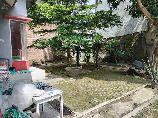 dijual rumah jl plemburan pogung lor