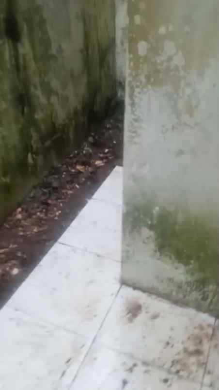 dijual rumah tajurhalang bogor