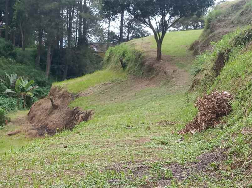 dijual sebidang tanah di ciloto puncak jawa barat