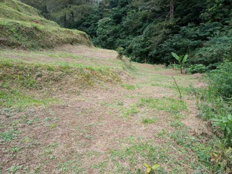 dijual sebidang tanah di ciloto puncak jawa barat