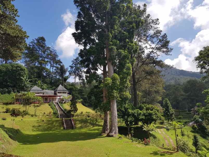 dijual sebidang tanah di ciloto puncak jawa barat