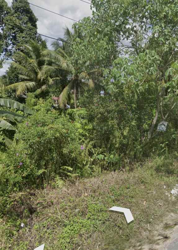 dijual tanah 85vr wm9 kepayang kab
