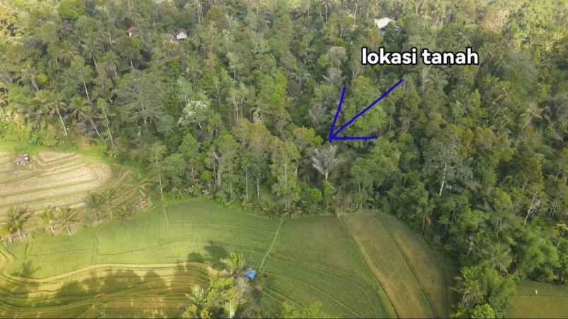 dijual tanah ada mata air di area pupuan tabanan bali