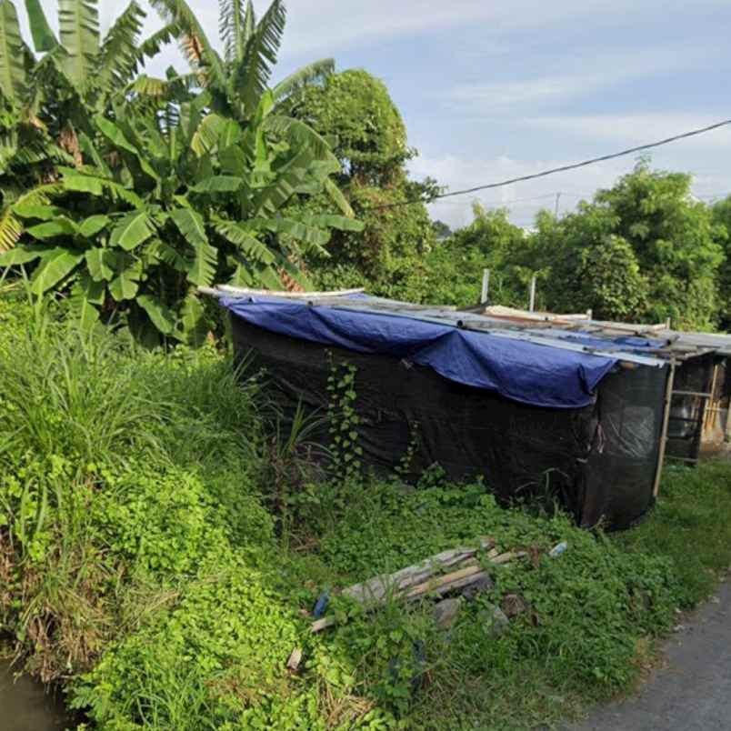 dijual tanah berawa