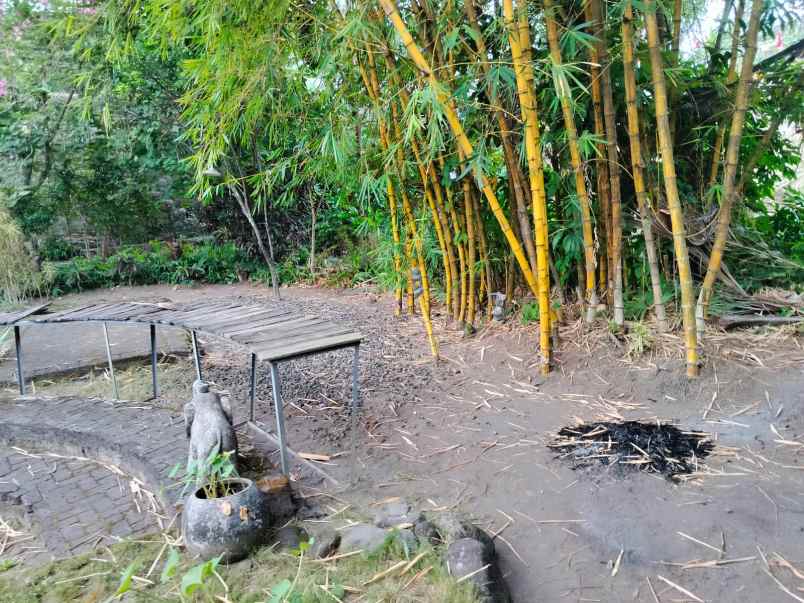 dijual tanah beserta cafe rumah di jalan kaliurang