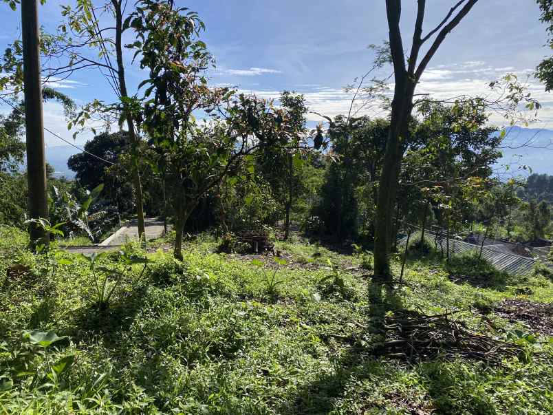 dijual tanah best view cijeruk bogor