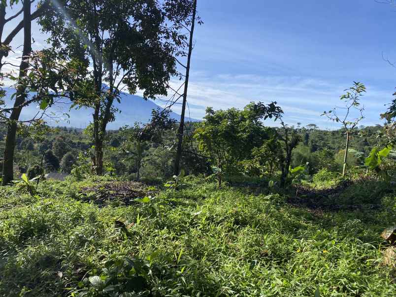 dijual tanah best view cijeruk bogor