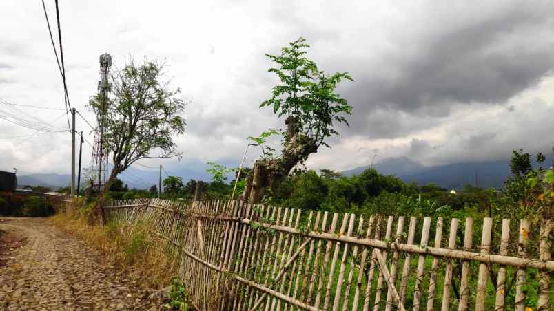 dijual tanah binangun