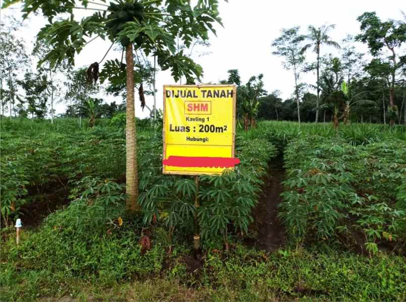 dijual tanah bunut wetan