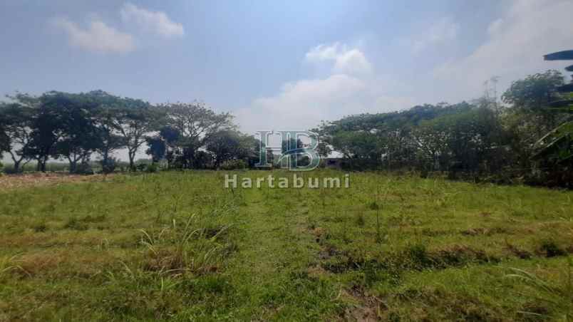 dijual tanah burengan kec pesantren