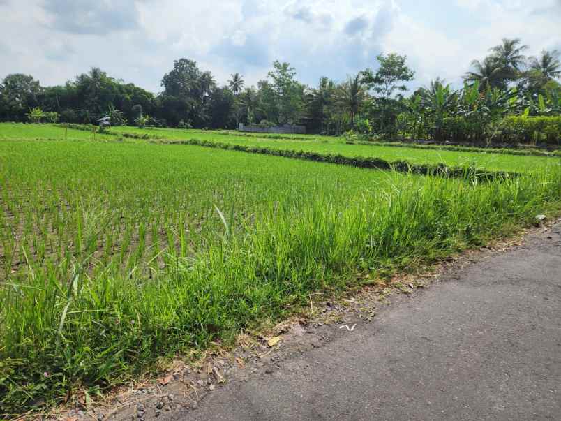 dijual tanah candibinangun pakem sleman