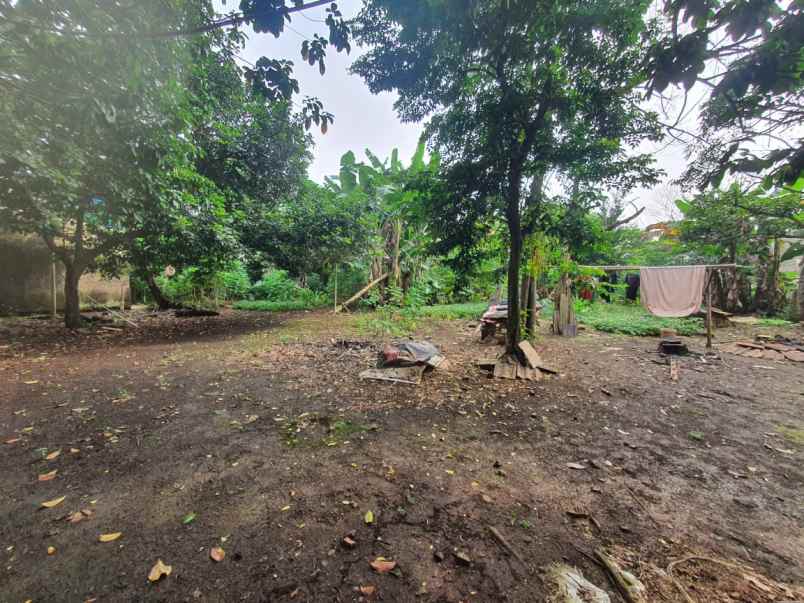 dijual tanah ciater sepong