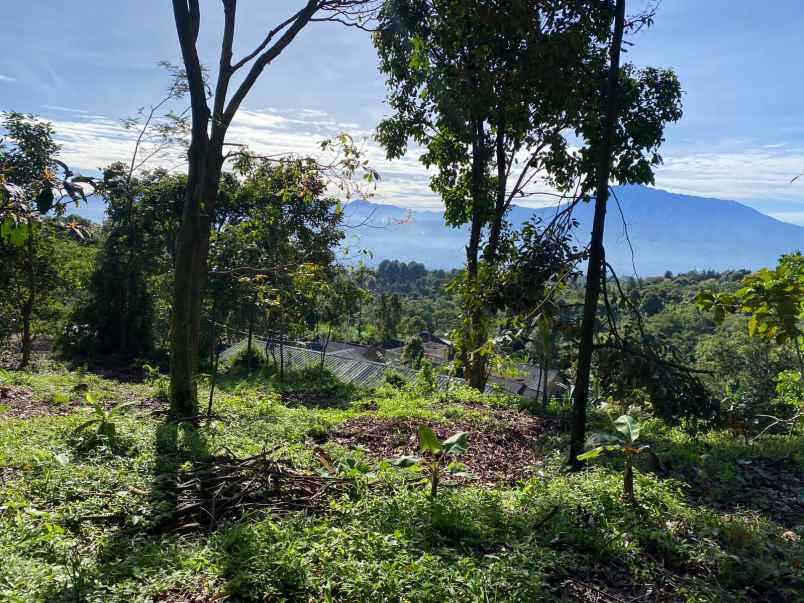 dijual tanah cijeruk bogor best view