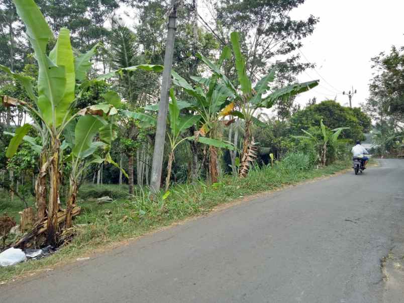 dijual tanah cocok untuk berkebun lokasi cigudeg bogor