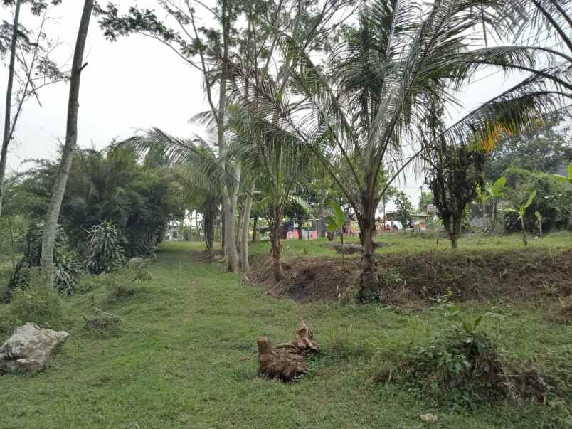 dijual tanah cocok untuk berkebun lokasi cigudeg bogor