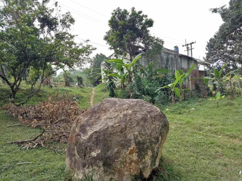 dijual tanah cocok untuk berkebun lokasi cigudeg bogor