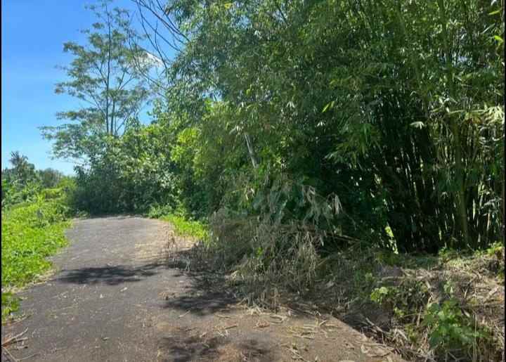 dijual tanah daerah trenggul denpasar timur