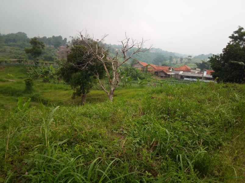 dijual tanah desa jambudipa kecamatan