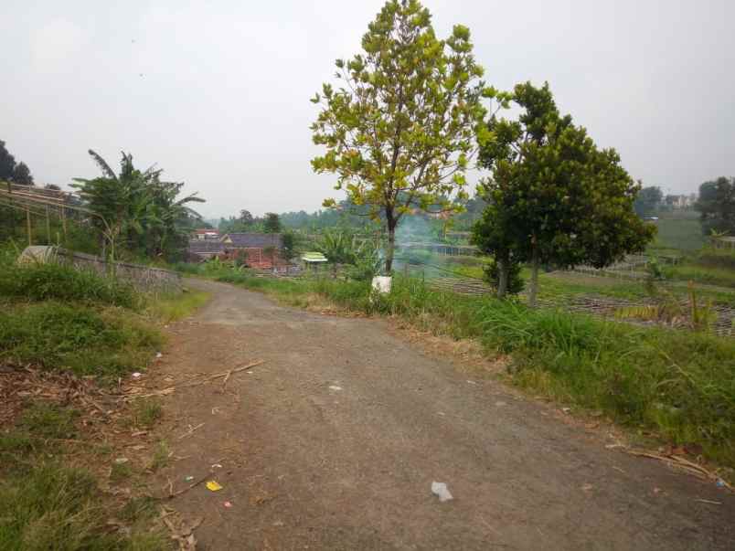 dijual tanah desa jambudipa kecamatan